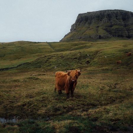 Mulafossur Cottage No 3 By Famous Waterfall In Gasadalur Exterior photo